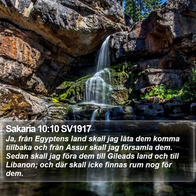 Sakaria 10:10 SV1917 Bible Verse Image