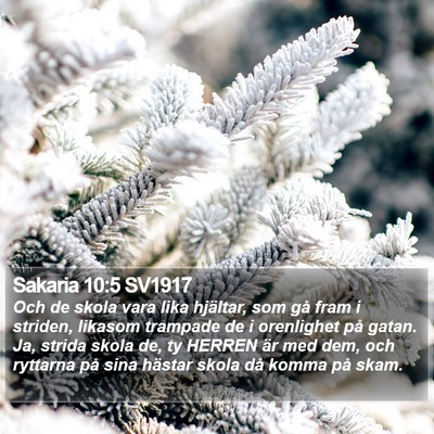 Sakaria 10:5 SV1917 Bible Verse Image