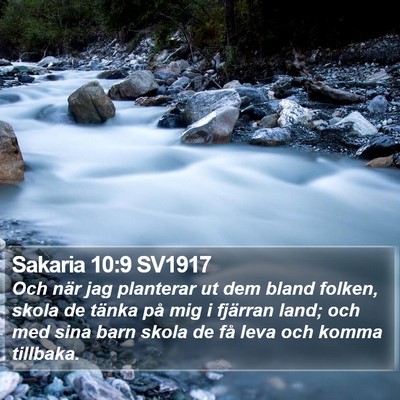 Sakaria 10:9 SV1917 Bible Verse Image