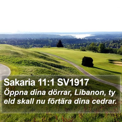 Sakaria 11:1 SV1917 Bible Verse Image