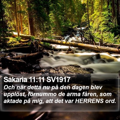 Sakaria 11:11 SV1917 Bible Verse Image
