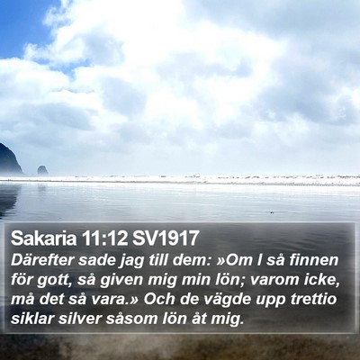 Sakaria 11:12 SV1917 Bible Verse Image