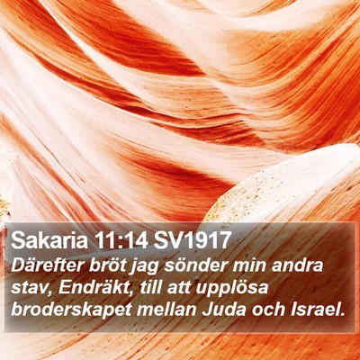 Sakaria 11:14 SV1917 Bible Verse Image