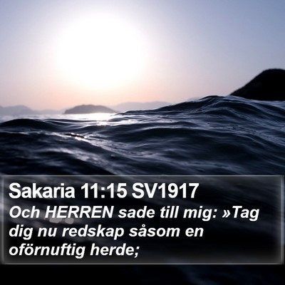 Sakaria 11:15 SV1917 Bible Verse Image