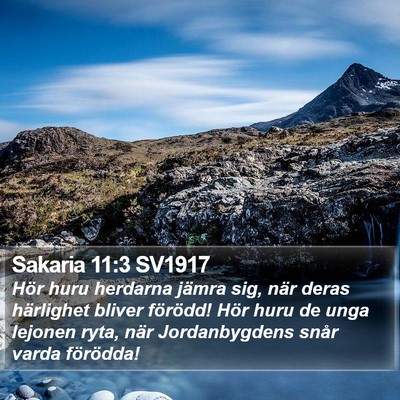 Sakaria 11:3 SV1917 Bible Verse Image
