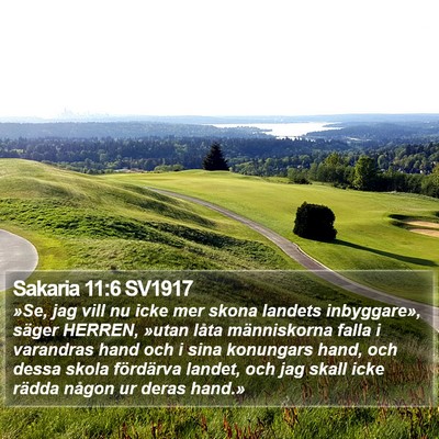 Sakaria 11:6 SV1917 Bible Verse Image