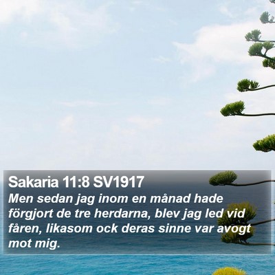 Sakaria 11:8 SV1917 Bible Verse Image