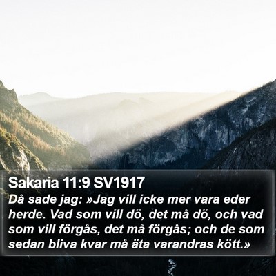 Sakaria 11:9 SV1917 Bible Verse Image