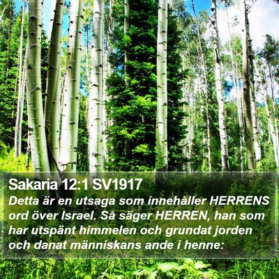 Sakaria 12:1 SV1917 Bible Verse Image