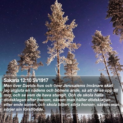 Sakaria 12:10 SV1917 Bible Verse Image