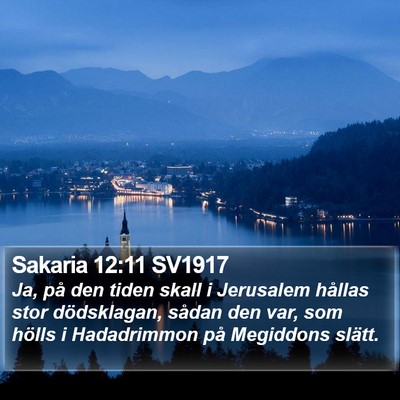 Sakaria 12:11 SV1917 Bible Verse Image