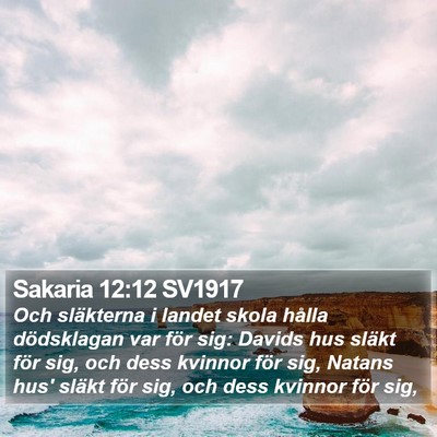 Sakaria 12:12 SV1917 Bible Verse Image