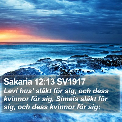 Sakaria 12:13 SV1917 Bible Verse Image