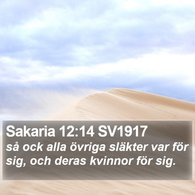 Sakaria 12:14 SV1917 Bible Verse Image