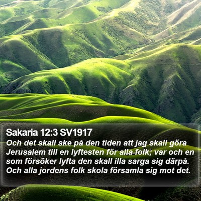 Sakaria 12:3 SV1917 Bible Verse Image
