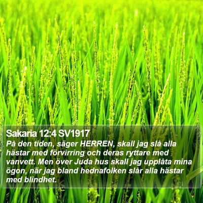Sakaria 12:4 SV1917 Bible Verse Image