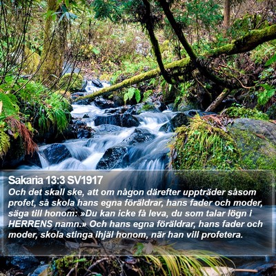 Sakaria 13:3 SV1917 Bible Verse Image