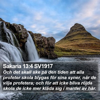 Sakaria 13:4 SV1917 Bible Verse Image