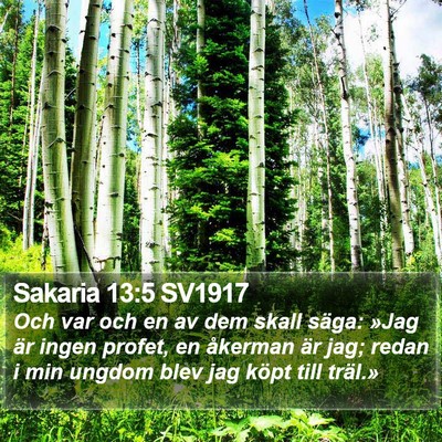 Sakaria 13:5 SV1917 Bible Verse Image