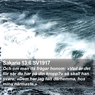 Sakaria 13:6 SV1917 Bible Verse Image