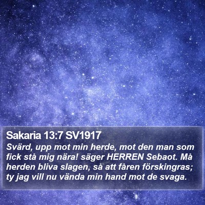 Sakaria 13:7 SV1917 Bible Verse Image