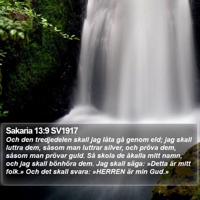 Sakaria 13:9 SV1917 Bible Verse Image