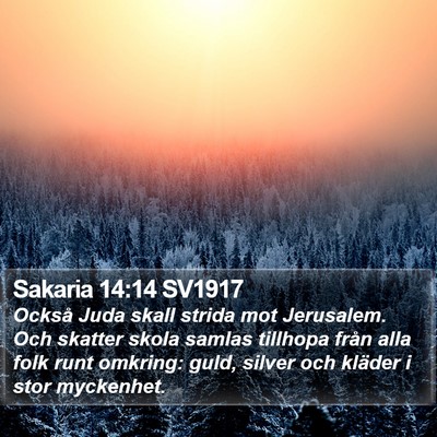 Sakaria 14:14 SV1917 Bible Verse Image