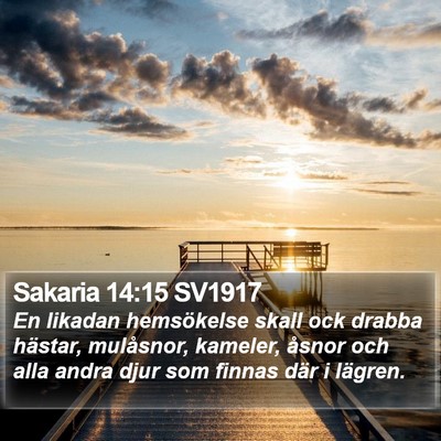 Sakaria 14:15 SV1917 Bible Verse Image