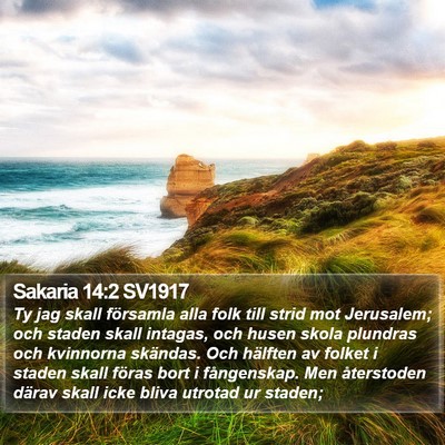 Sakaria 14:2 SV1917 Bible Verse Image