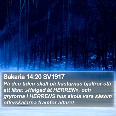 Sakaria 14:20 SV1917 Bible Verse Image