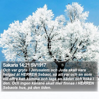Sakaria 14:21 SV1917 Bible Verse Image
