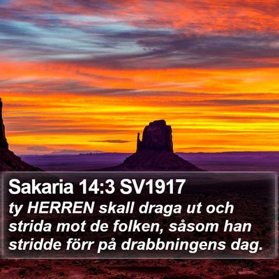 Sakaria 14:3 SV1917 Bible Verse Image