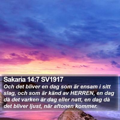 Sakaria 14:7 SV1917 Bible Verse Image