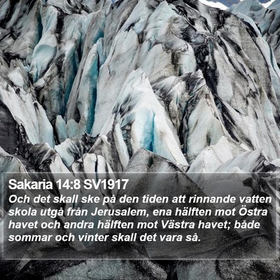 Sakaria 14:8 SV1917 Bible Verse Image