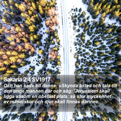 Sakaria 2:4 SV1917 Bible Verse Image