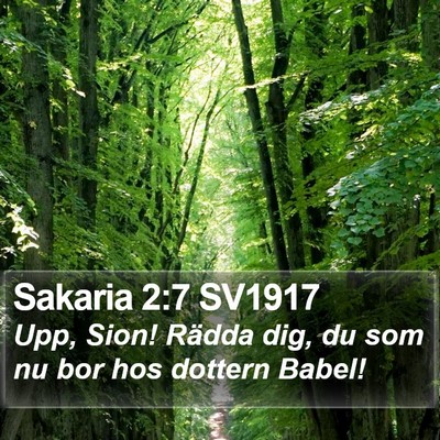 Sakaria 2:7 SV1917 Bible Verse Image