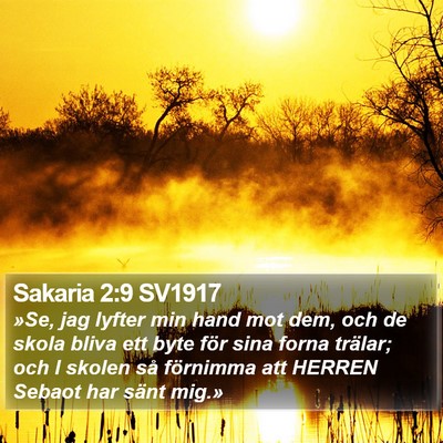 Sakaria 2:9 SV1917 Bible Verse Image