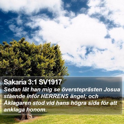 Sakaria 3:1 SV1917 Bible Verse Image