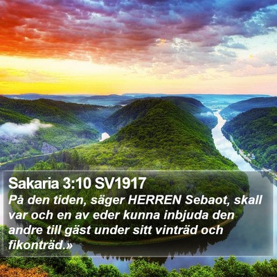 Sakaria 3:10 SV1917 Bible Verse Image