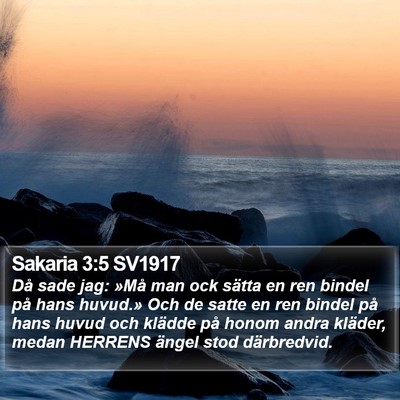 Sakaria 3:5 SV1917 Bible Verse Image