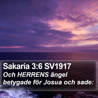 Sakaria 3:6 SV1917 Bible Verse Image