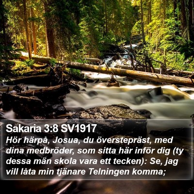 Sakaria 3:8 SV1917 Bible Verse Image