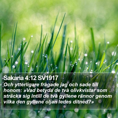 Sakaria 4:12 SV1917 Bible Verse Image
