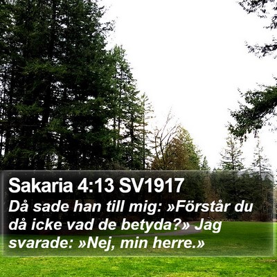Sakaria 4:13 SV1917 Bible Verse Image