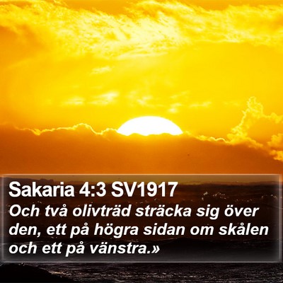 Sakaria 4:3 SV1917 Bible Verse Image
