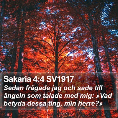 Sakaria 4:4 SV1917 Bible Verse Image