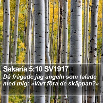 Sakaria 5:10 SV1917 Bible Verse Image