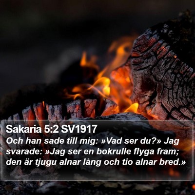 Sakaria 5:2 SV1917 Bible Verse Image
