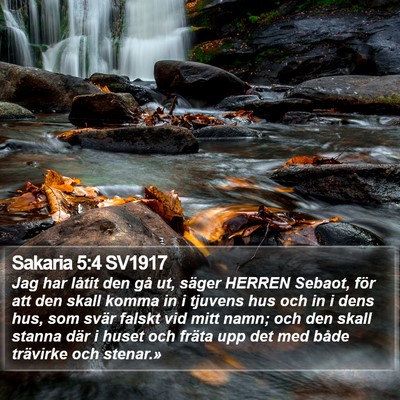 Sakaria 5:4 SV1917 Bible Verse Image