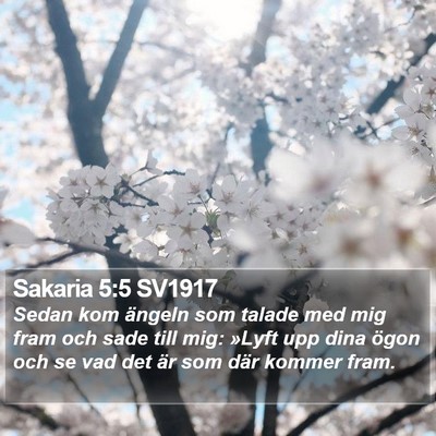 Sakaria 5:5 SV1917 Bible Verse Image